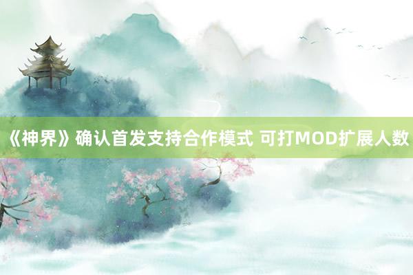 《神界》确认首发支持合作模式 可打MOD扩展人数