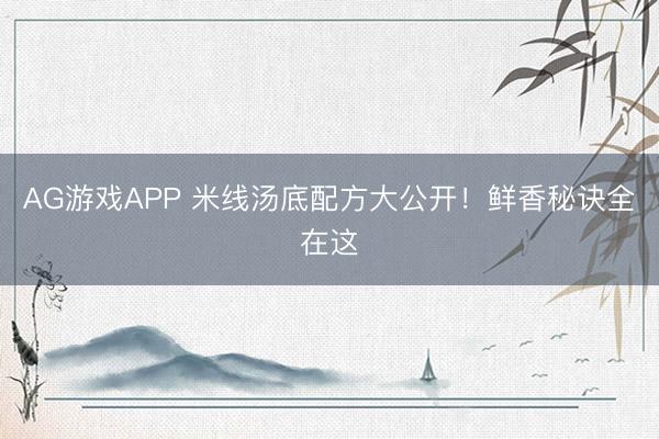 AG游戏APP 米线汤底配方大公开！鲜香秘诀全在这