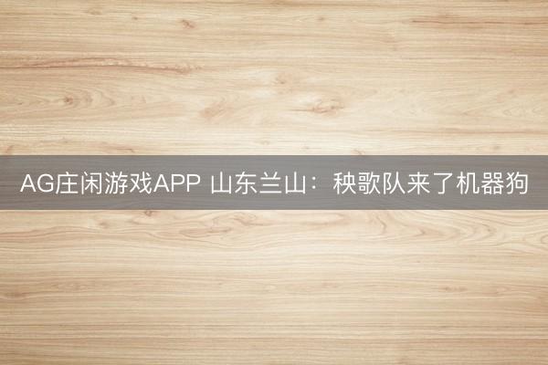 AG庄闲游戏APP 山东兰山：秧歌队来了机器狗